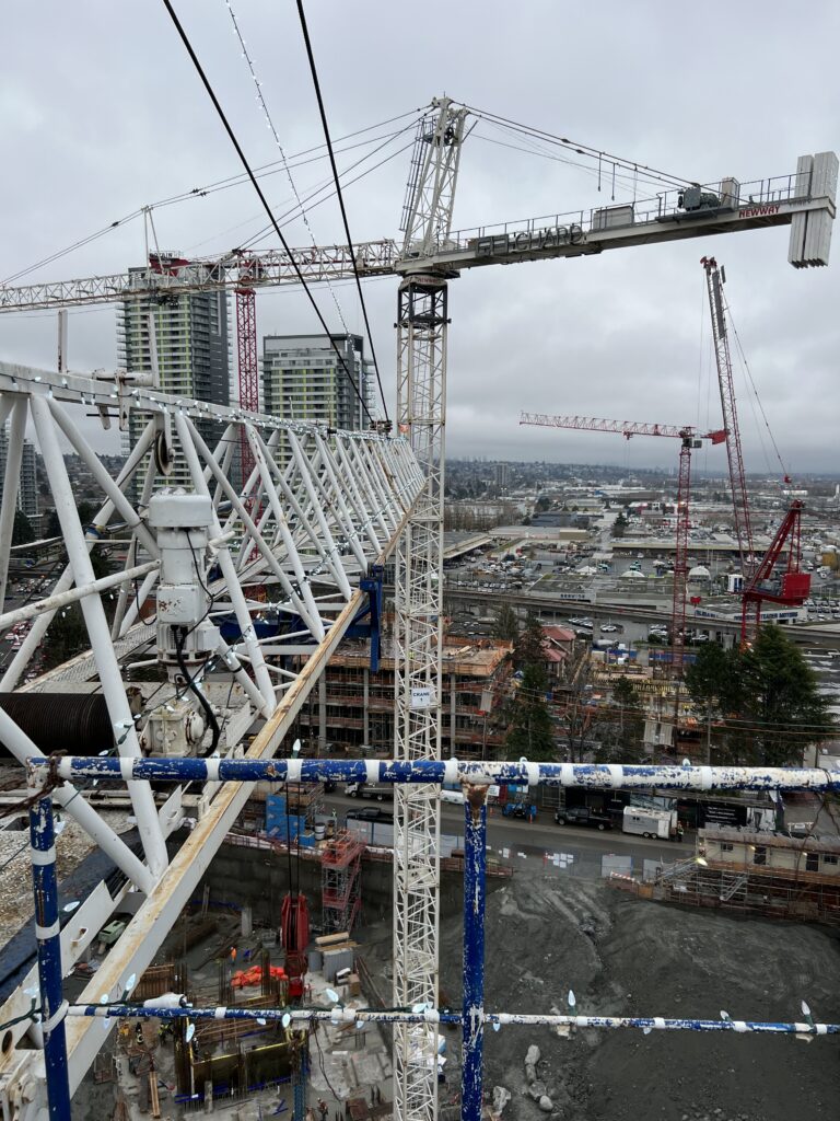 Tower Crane Panel Review